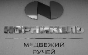 ООО «Медвежий ручей»