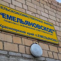 ООО «Емельяновское»