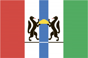 Закупки предприятий и организаций Новосибирской области