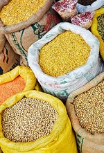 АО "Канская сортоиспытательная станция"