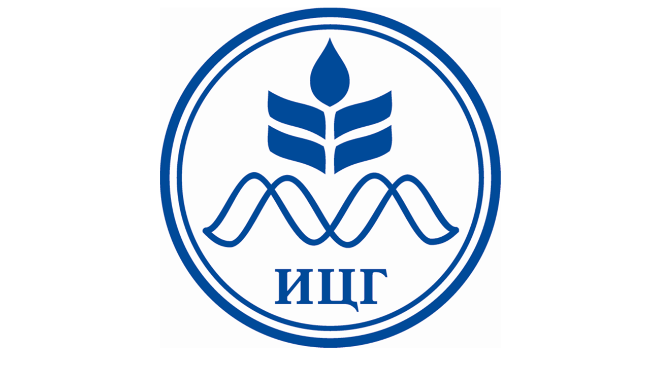 Программное обеспечение на основе методов искусственного интеллекта