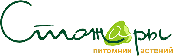 ООО «Стожары»